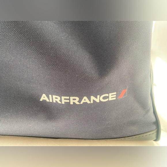 International Flight Approved Pet Carrier. Roomy. Will fit a pug or frenchie. - Picture 6 of 10